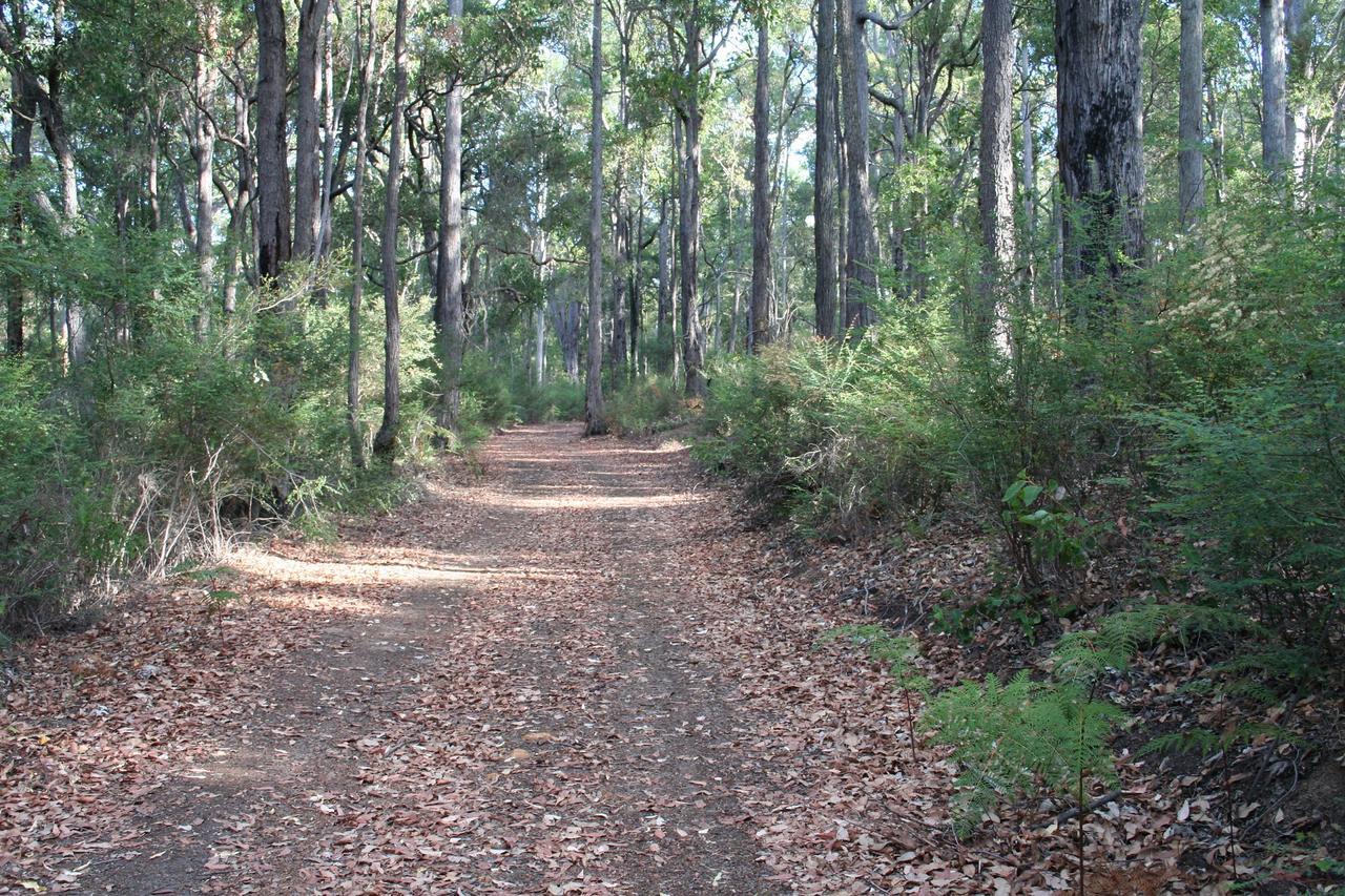 Wellington Forest Cottages מראה חיצוני תמונה
