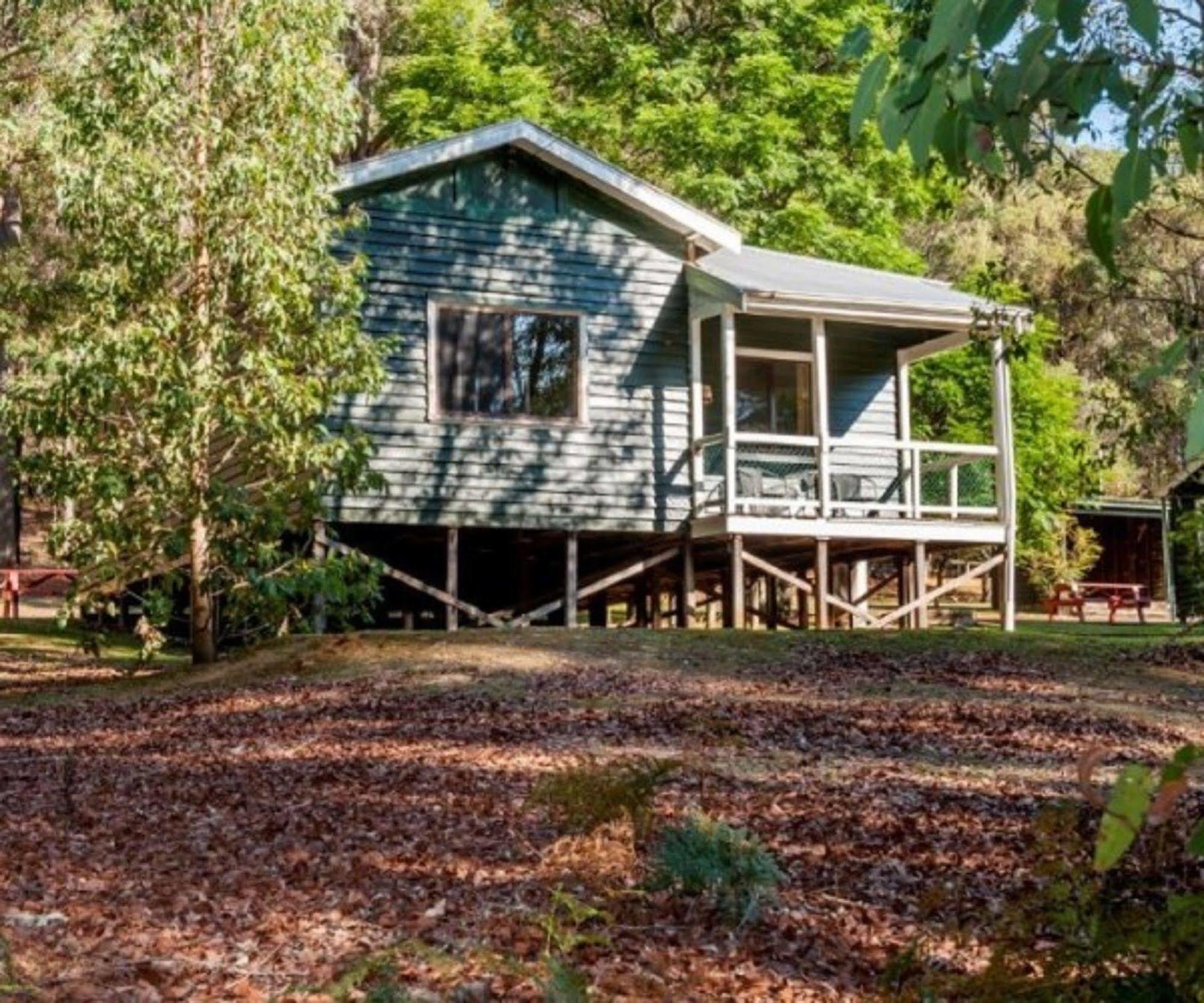 Wellington Forest Cottages מראה חיצוני תמונה